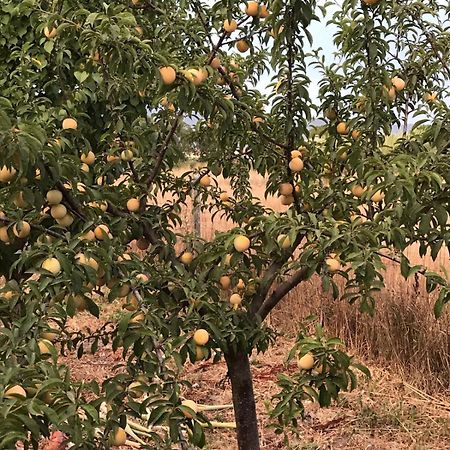 Willa Agriturismo S'Aranada Marrùbiu Zewnętrze zdjęcie